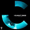 About I Can't See Song