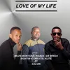 About Love Of My Life Song