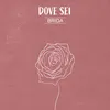 About Dove Sei Song