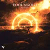 About Fool's Gold Song