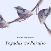 About Pegadas Ao Paraíso Song