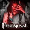 About Fenomenal Song