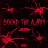 About Sound The Alarm Song