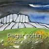 About Þegar nóttin Song