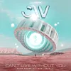 About Can't Live Without You Song