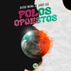 About Polos Opuestos Song