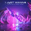 About I Just Wanna Song