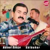 About Gülbahar Song