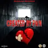 About Created By Pain Song