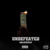 About Undefeated Song