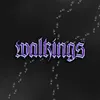 About Walkings Song