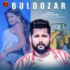 About Buldozar Song