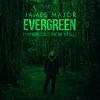 About Evergreen (You Didn't Deserve Me At All) Song