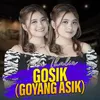 About Gosik (Goyang Asik) Song