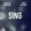 About Sing Song