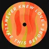 About Never Knew Love Like This Before Song