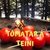 About Tómatar á teini Song