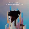 About Pokmaru Song