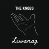 About Liwanag Song