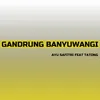 About Gandrung Banyuwangi Song