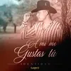 About A Mí Me Gustas Tú Song