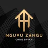 About Nguvu Zangu Song