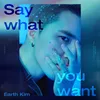 Say What You Want Instrumental