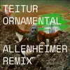 Ornamental Allenheimer Remix
