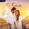 About O Sanam Song