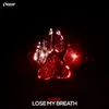 About Lose My Breath Song