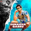 About Sunakha Gabru Song