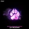 About Let Me Down Song