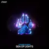 About Sea Of Lights Song