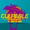 About Culpable Song