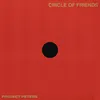About Circle of Friends Song