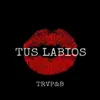 About Tus Labios Song