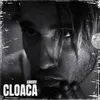 Cloaca