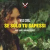 About Se Solo Tu Sapessi Song