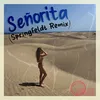 About Senorita Springfeldt Remix Song