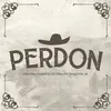 About Perdón Song