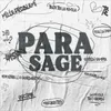 About Para Song