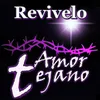 About Revivelo Song