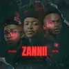 About Zannii Song