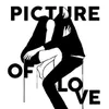 About Picture of Love Song