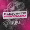 Elefante Rosado