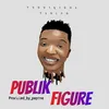 About Publik Figure Song