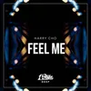 About Feel Me Song