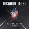 About Mi Perdición Song