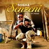 About Senzeni Song