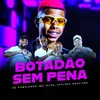 About Botadão Sem Pena Song